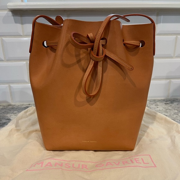Mansur Gavriel Mini Bucket Bag in EUC - Picture 1 of 8